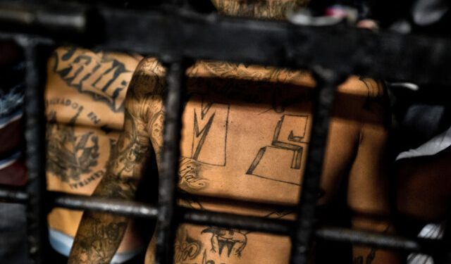 ICE Apprehends MS-13 Gang Member, Murder Suspect in Indiana